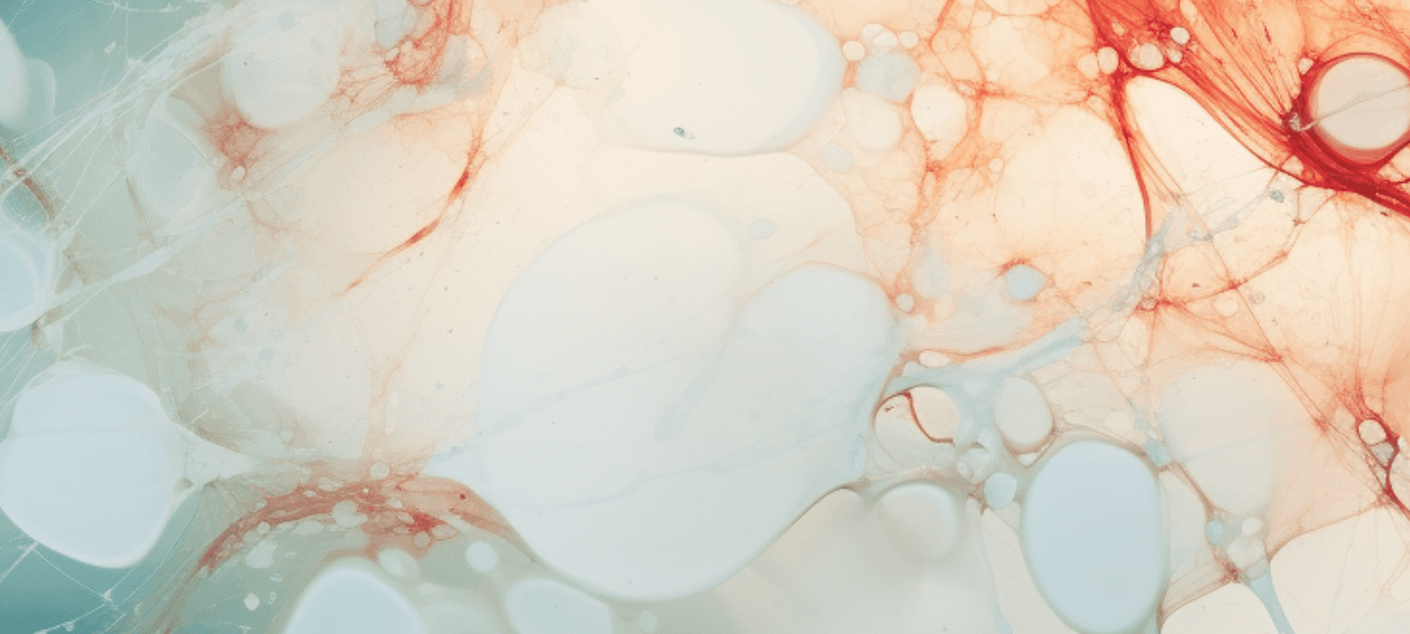 Harba Cells