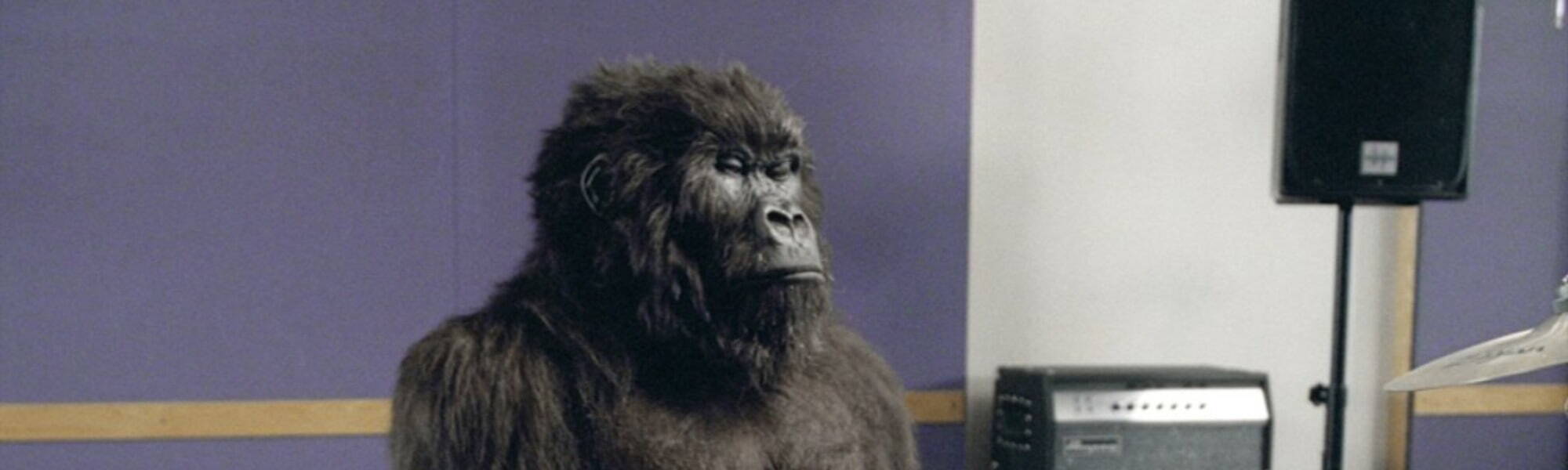 Cadbury Gorilla